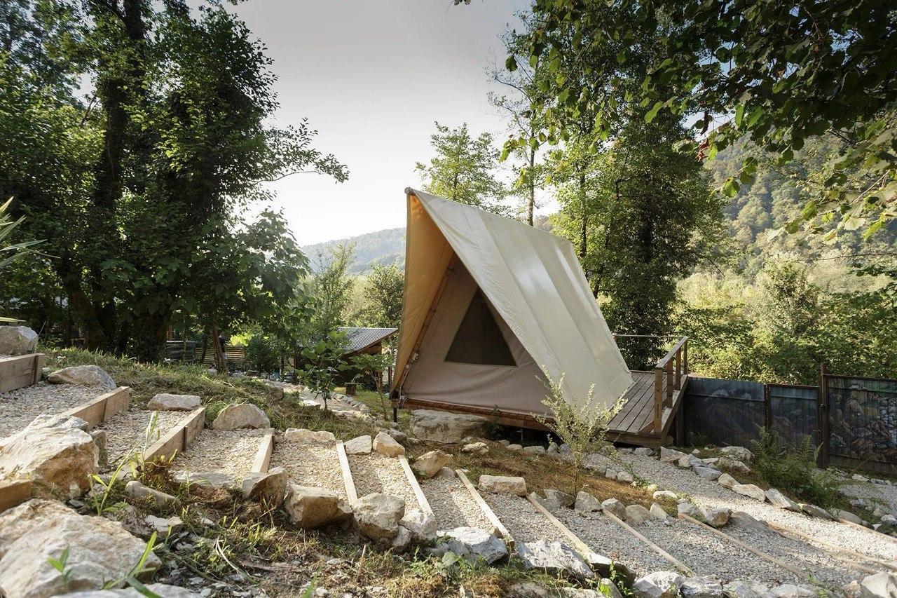 Фото Южный Вайб Древо