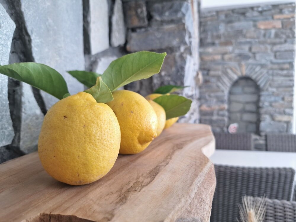 Фото Evi Evan Hotel