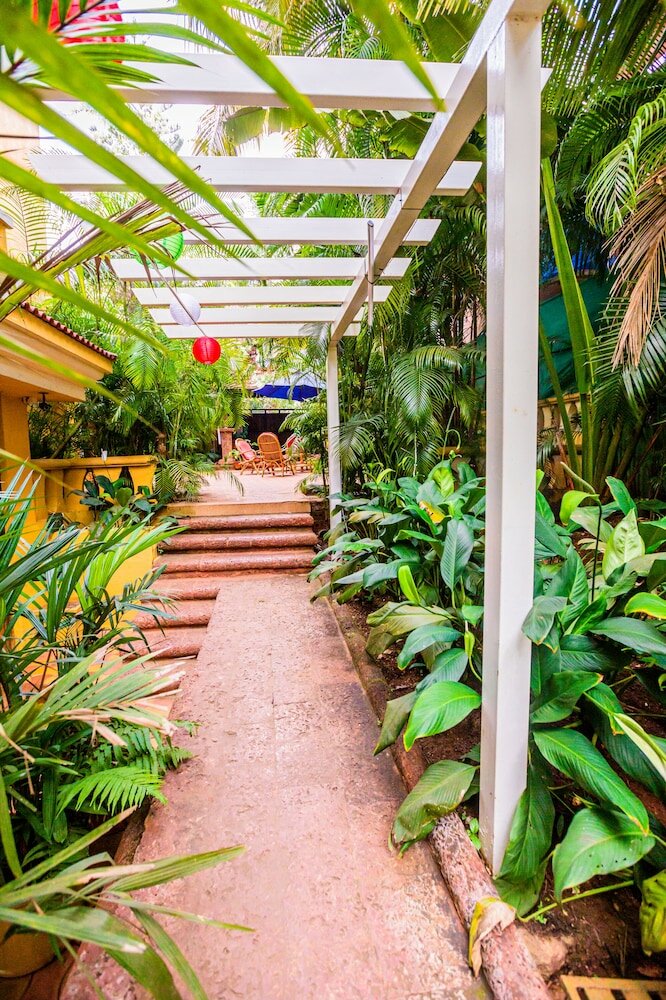 Фото Bougainvillea Guest House