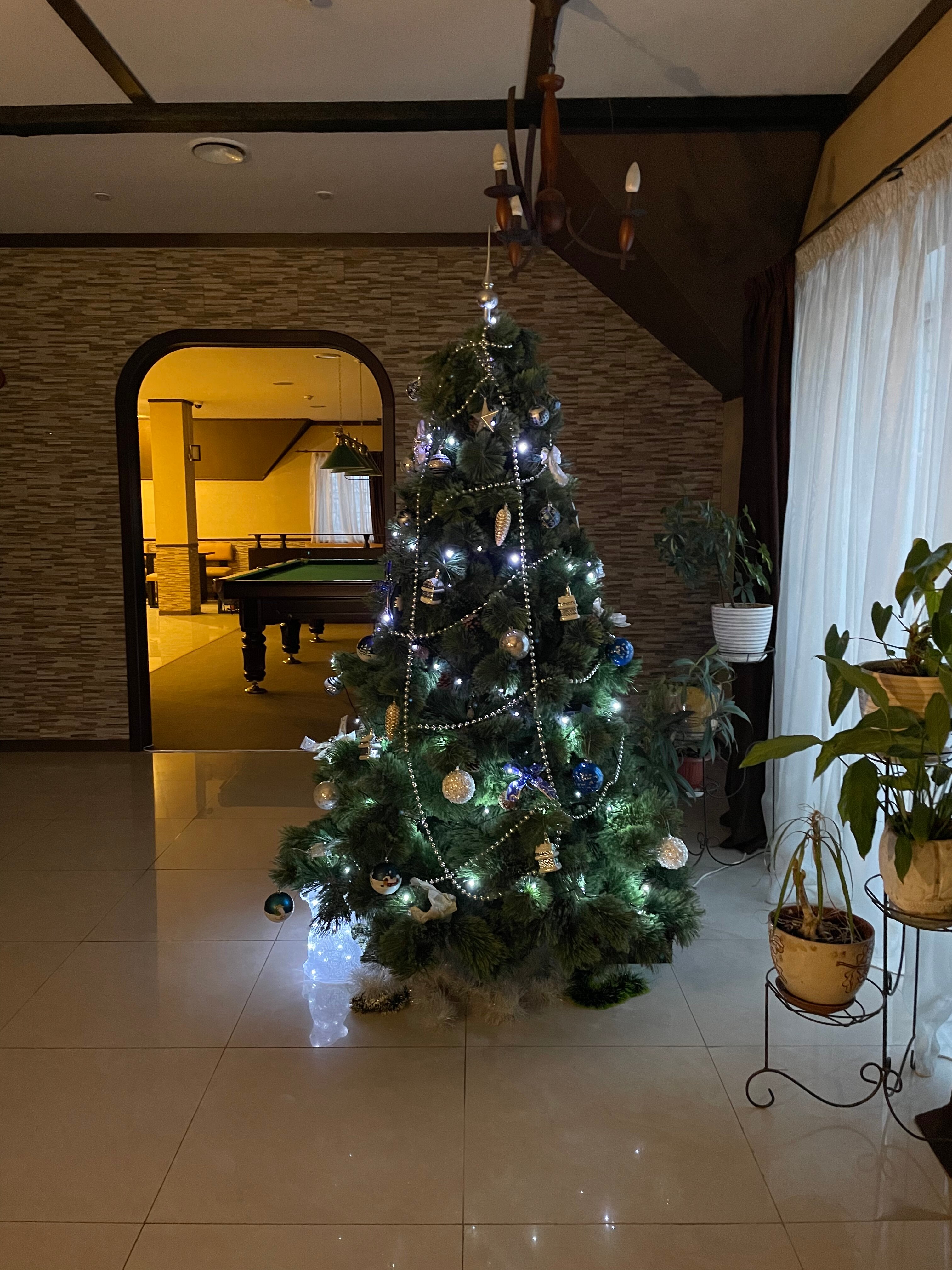 Фото Ле Ман