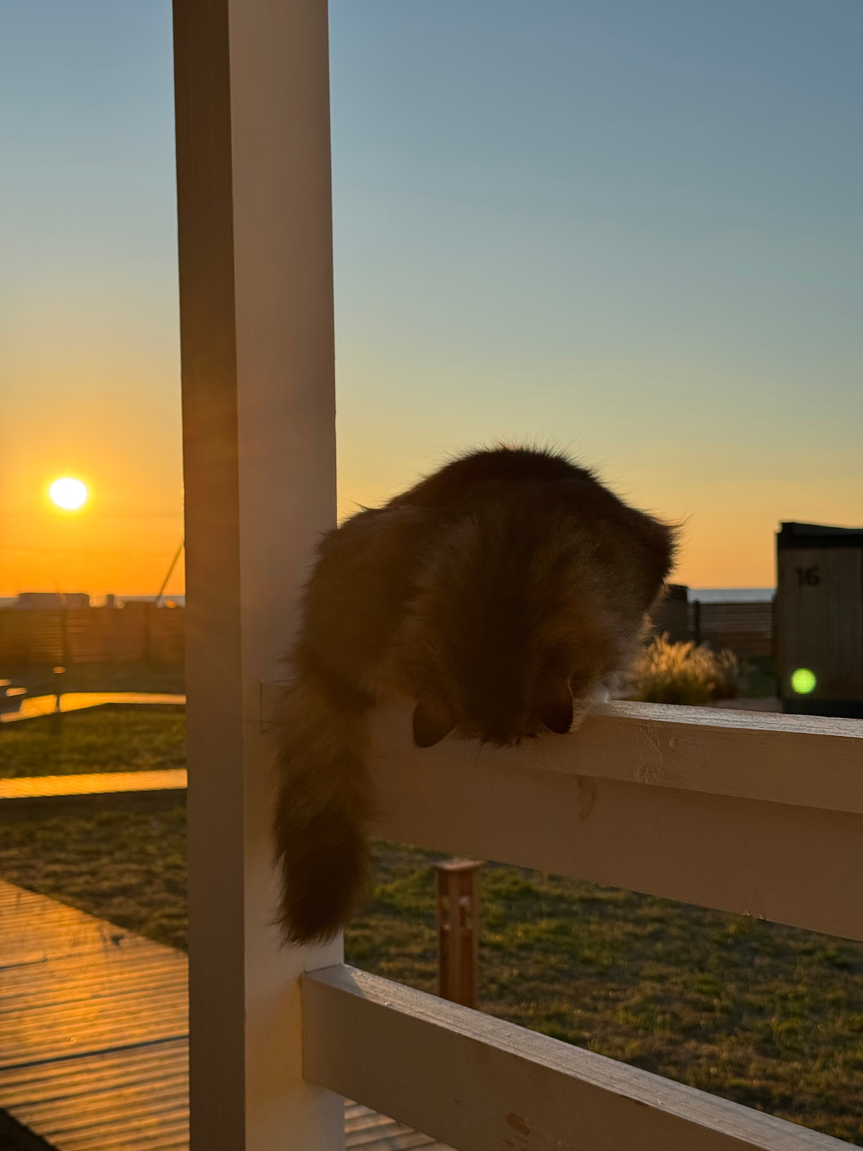 Фото Экстрим