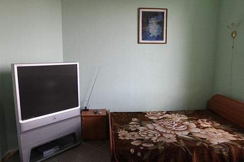 Фото Медведь