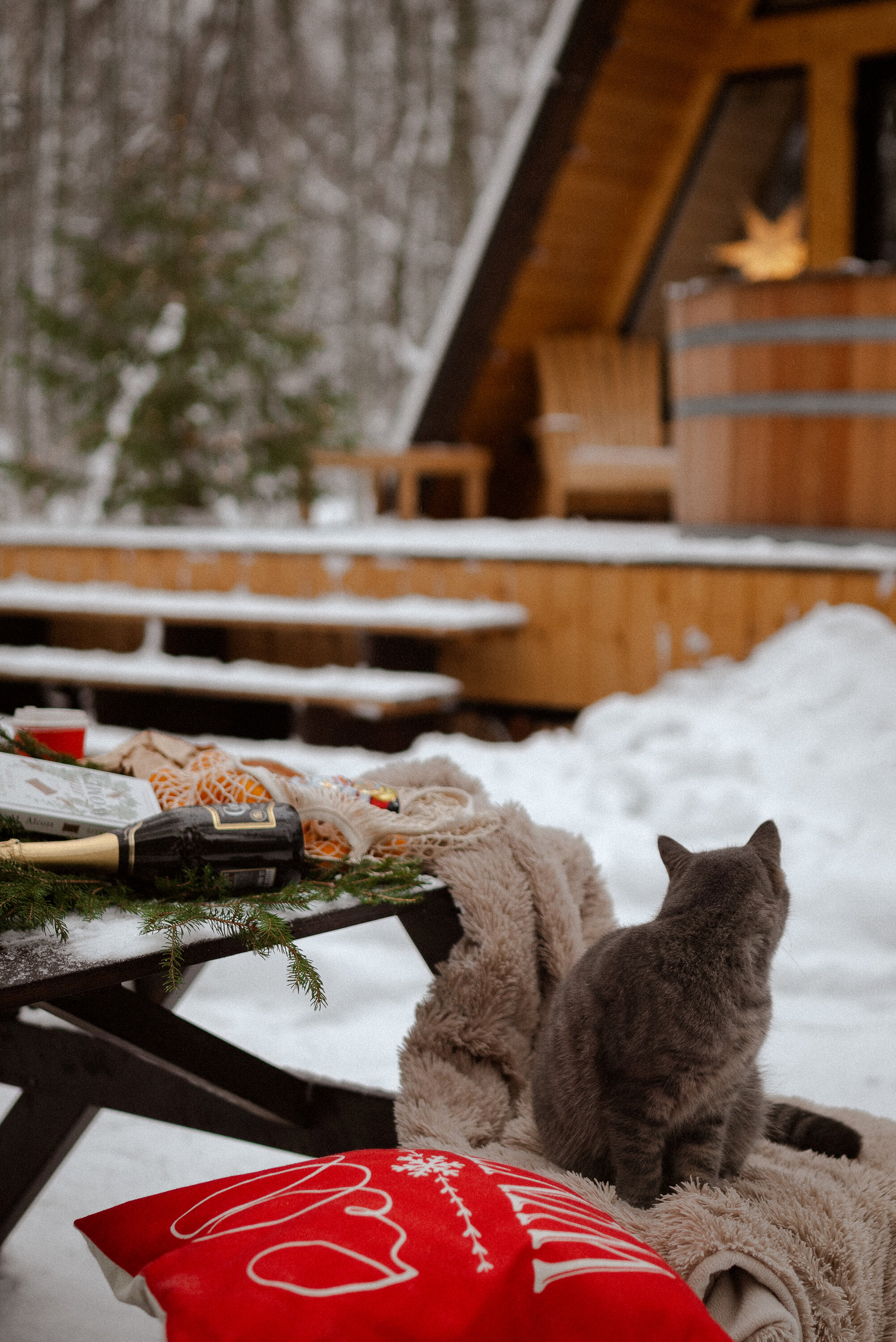 Фото Deep Lake House