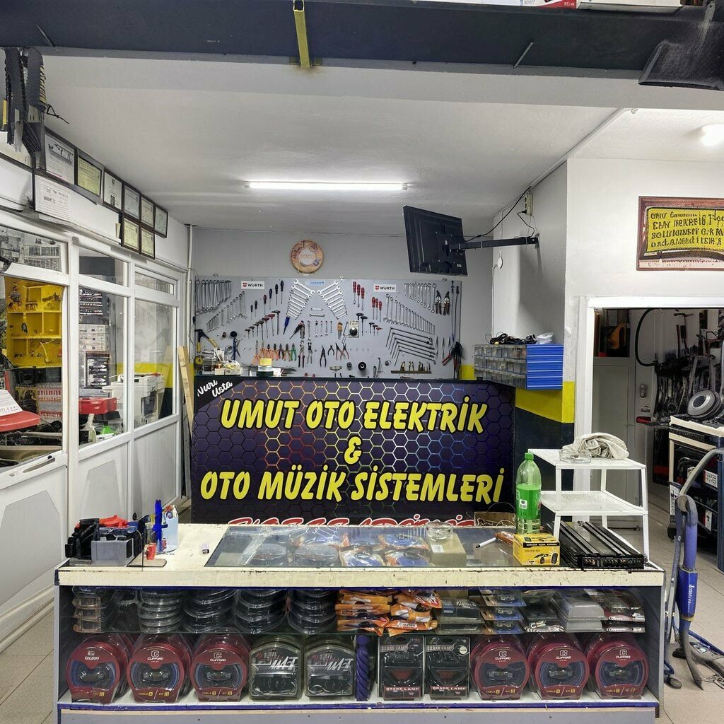 Electronics store Umut Auto Electric Electronics Image and Music Systems, Suleymanpasa, photo