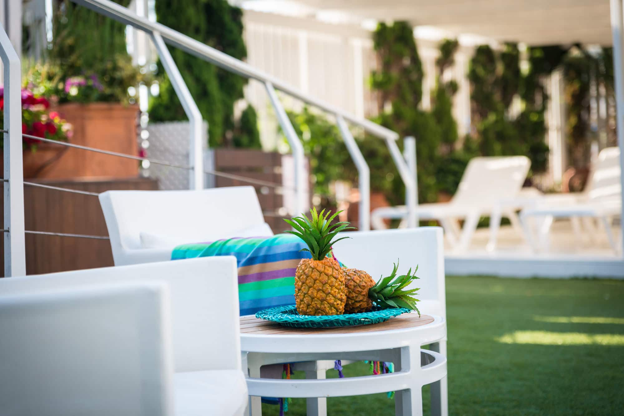 Фото 228717713997