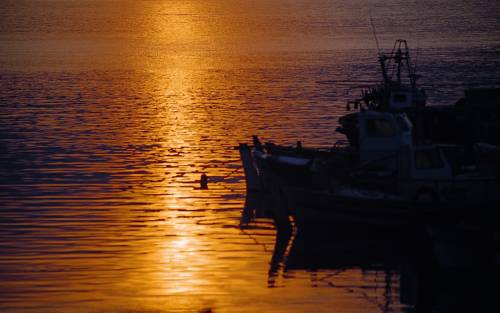 Фото Hotel Vlassis