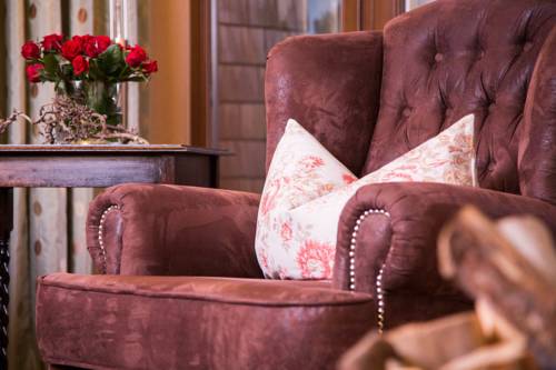 Фото Rosa Canina