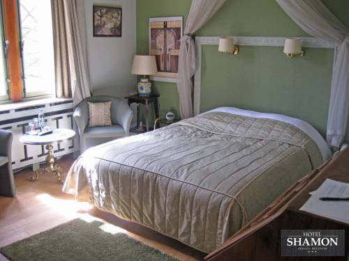 Фото Hotel Shamon