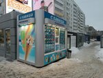 Славица (Chistopolskaya Street, 41), helado