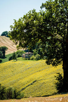 Фото CasaVostra - Ambience Suites