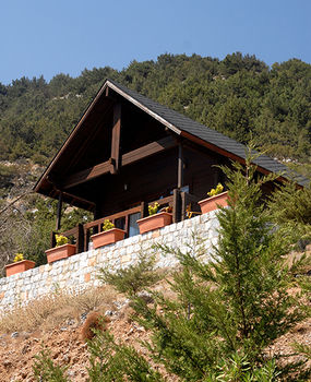 Фото Lefkoritis Resort