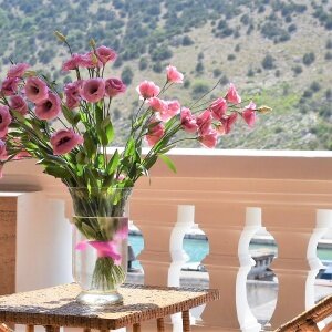 Фото Даккар