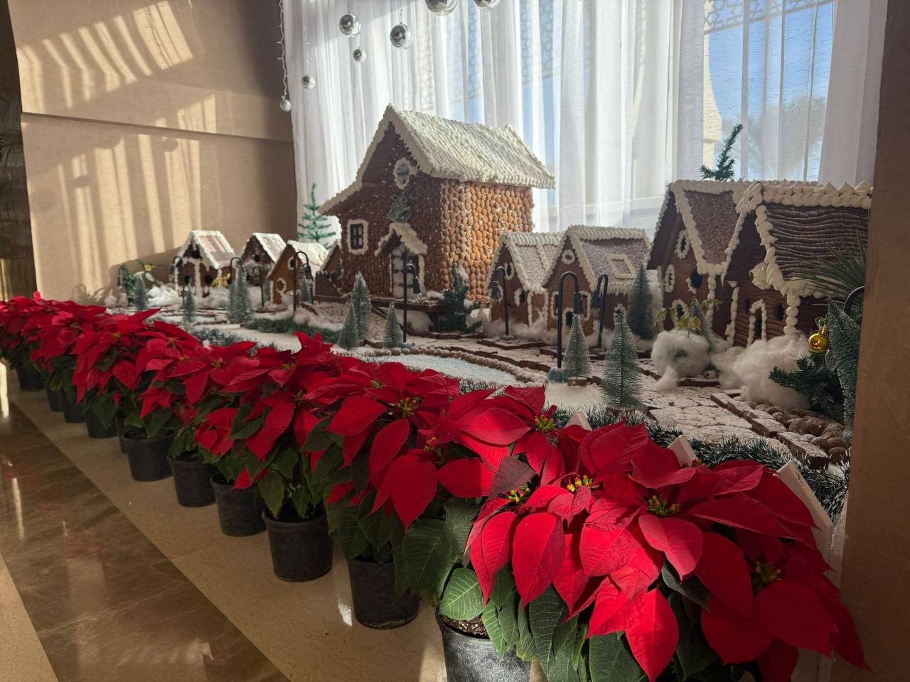 Фото Jaz Belvedere