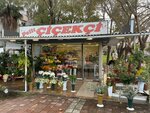 Pelit Flower Shop (Antalya, Muratpaşa, Barınaklar Blv., 92A), floristeria