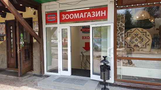 Бетховен - фото 1