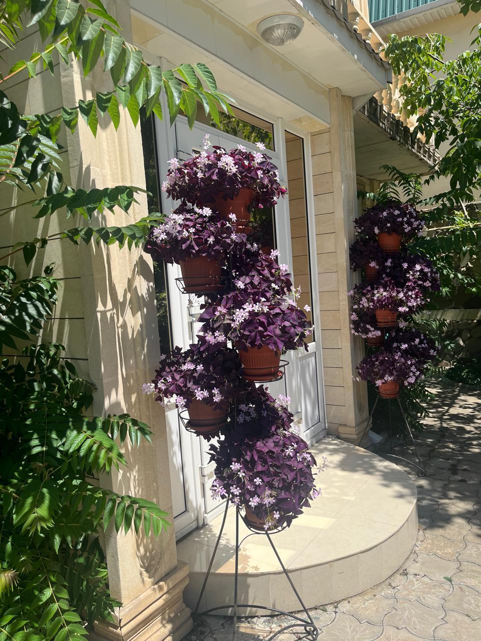 Фото Атриум