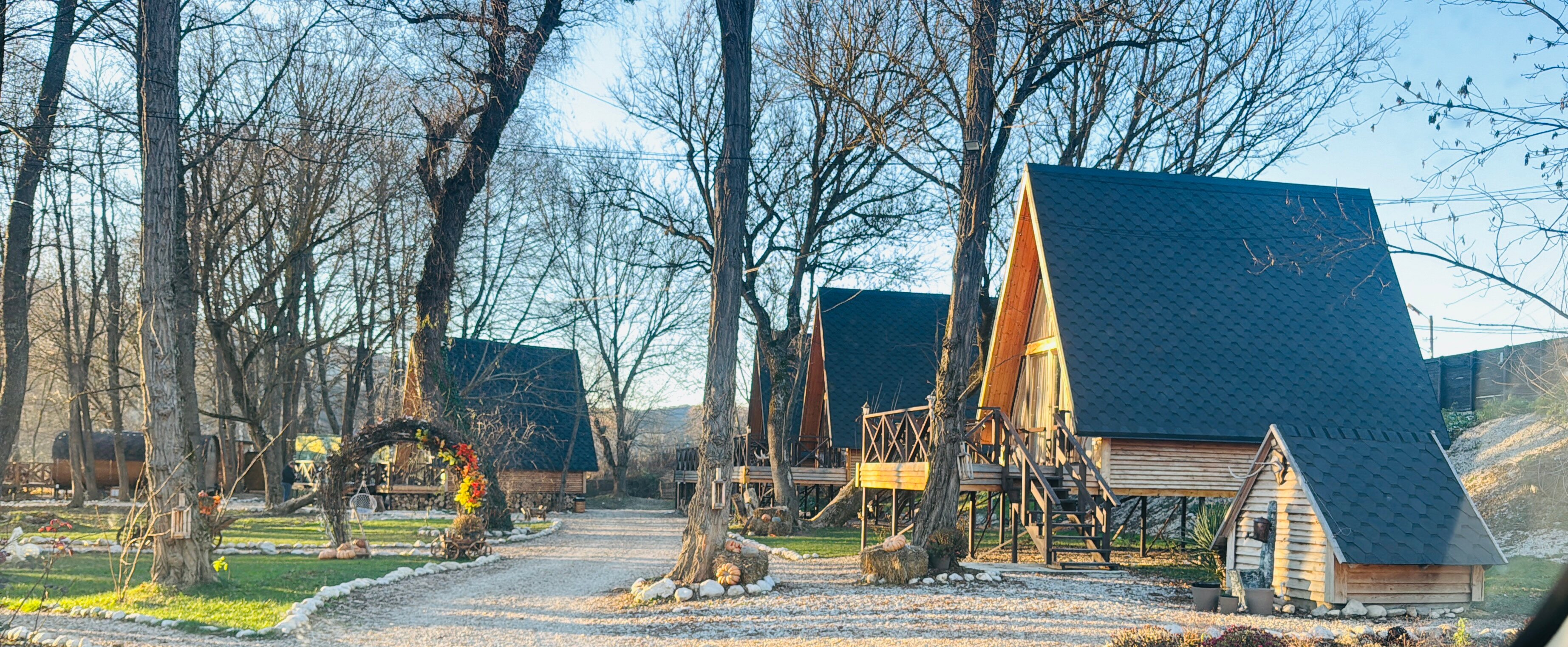 Фото Богатый лес