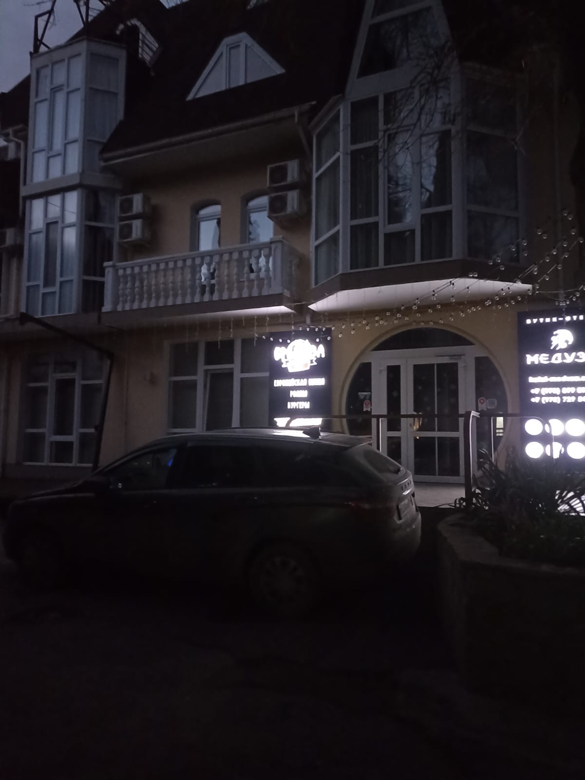 Фото Медуза