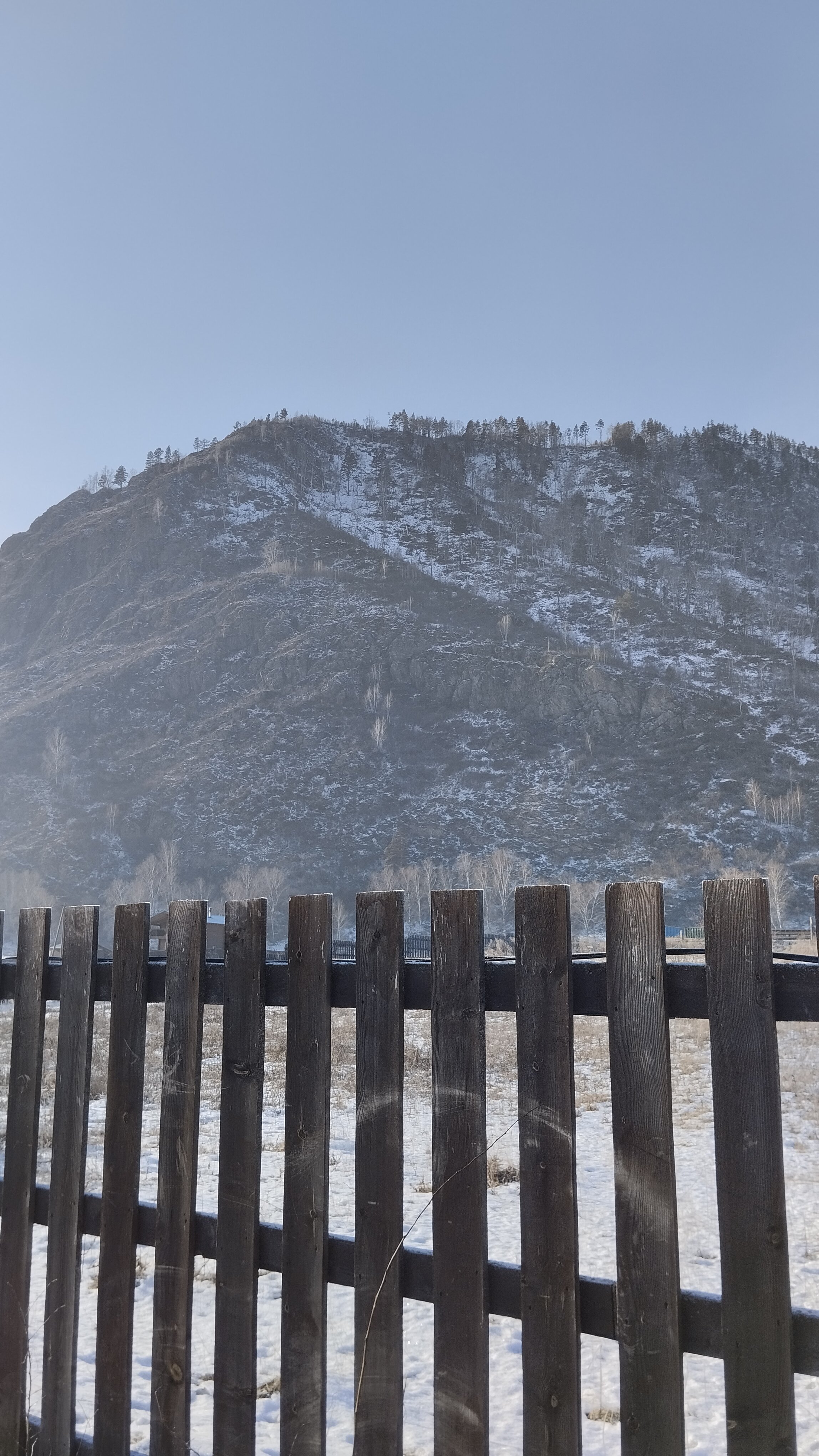 Фото Алтай Люкс