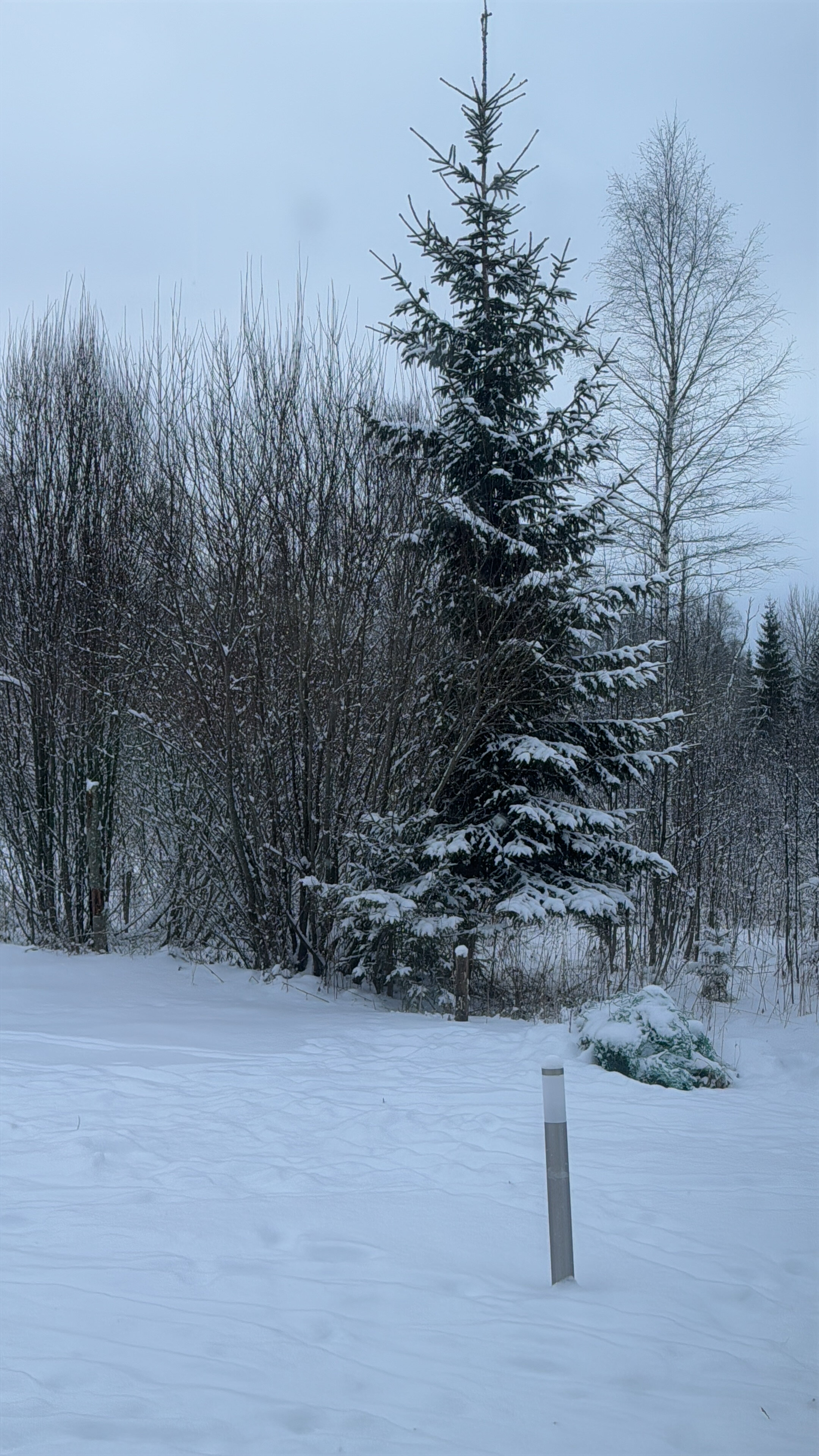 Фото Домик в деревне