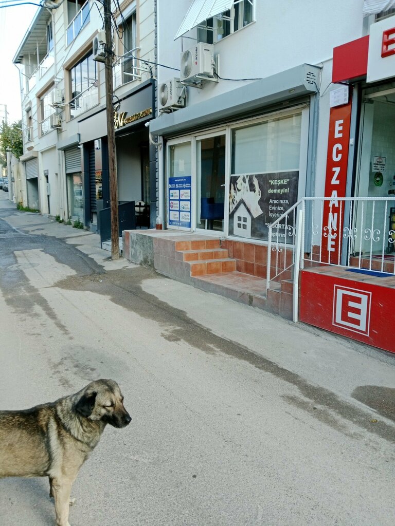 Insurance broker Sinpas Sigorta, Izmir, photo