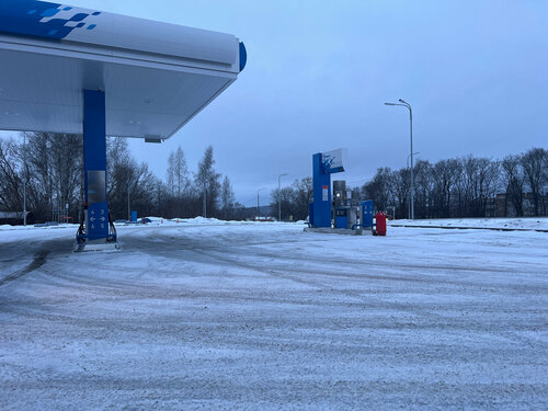 Gas station Gazpromneft, Lyskovo, photo