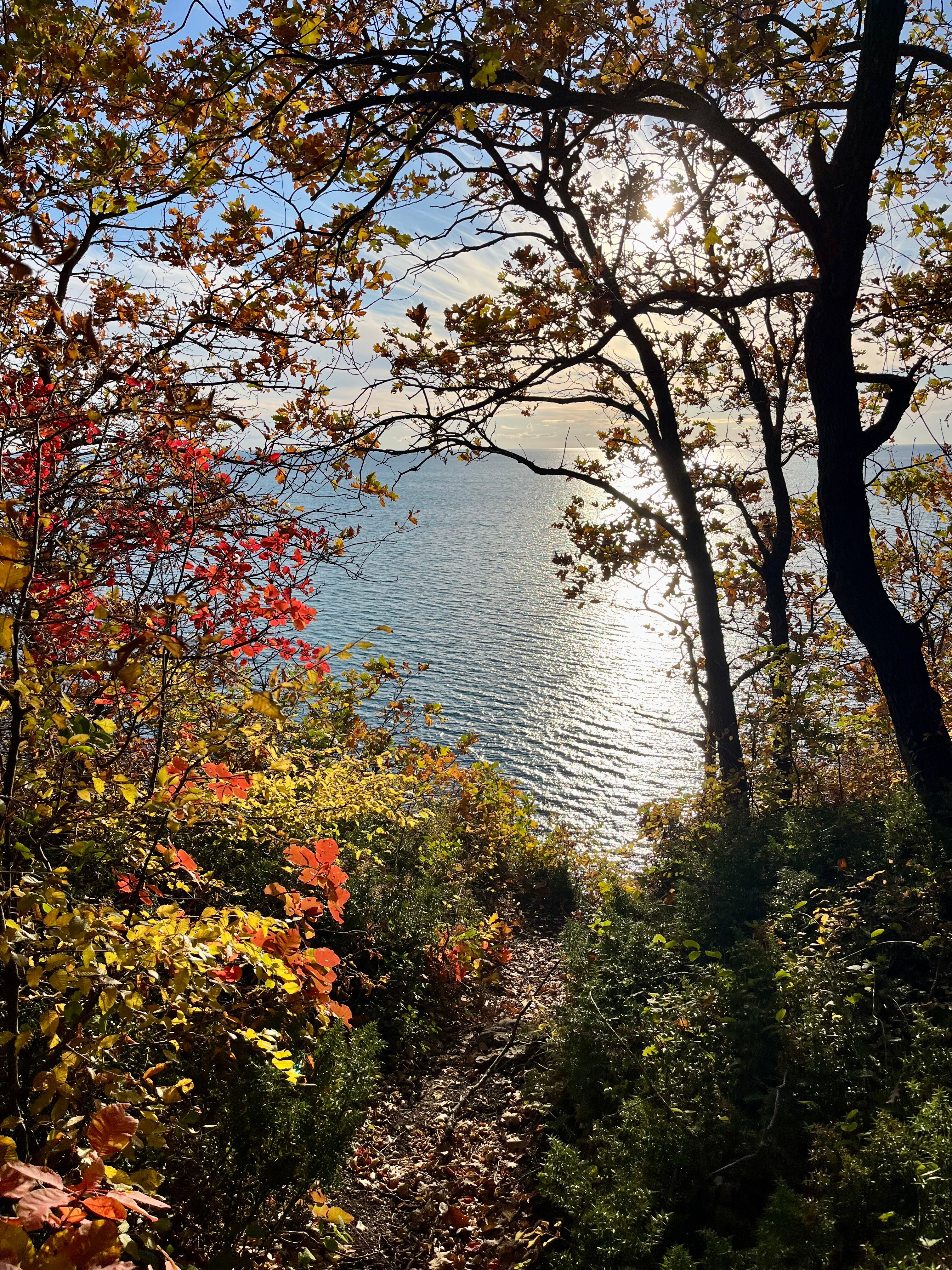 Фото Ремарка