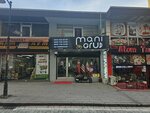 Mani Group (İstanbul, Esenyurt, Piri Reis Mah., 2066. Sok., 8F), travel agency