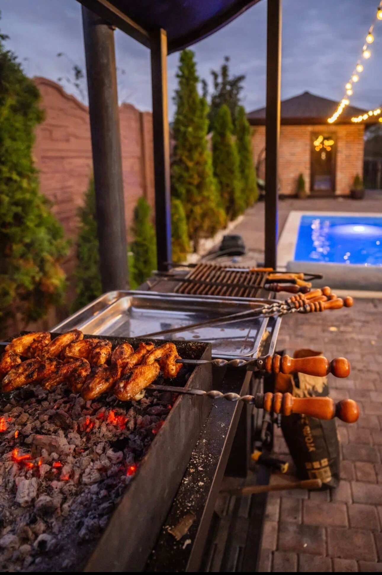 Фото Green forest