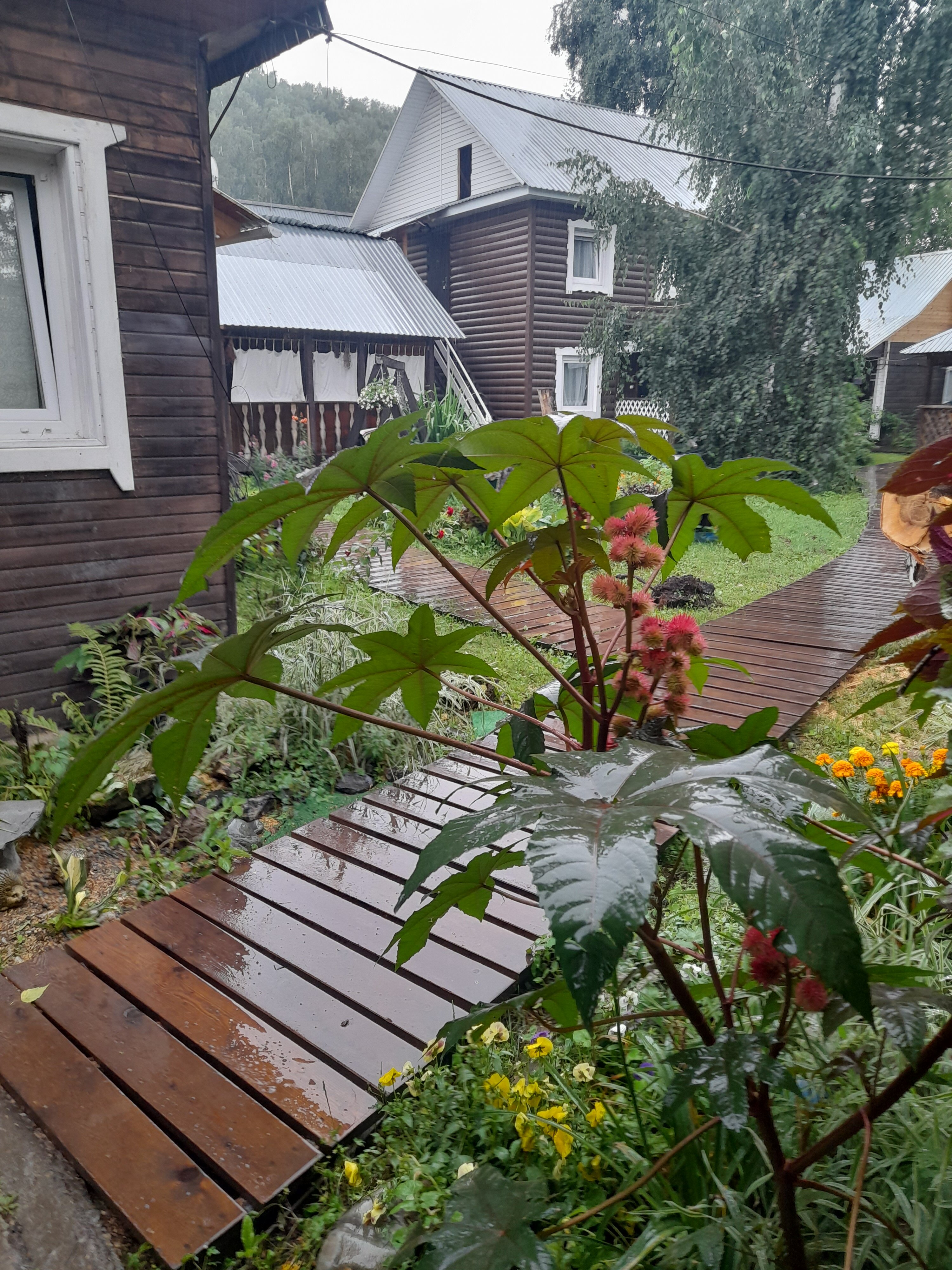 Фото Усадьба Добрыня