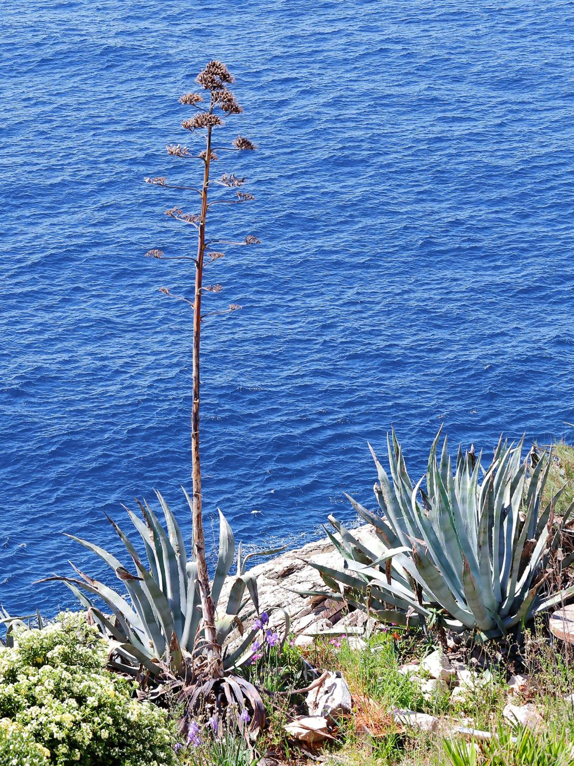 Фото Kate´s Place