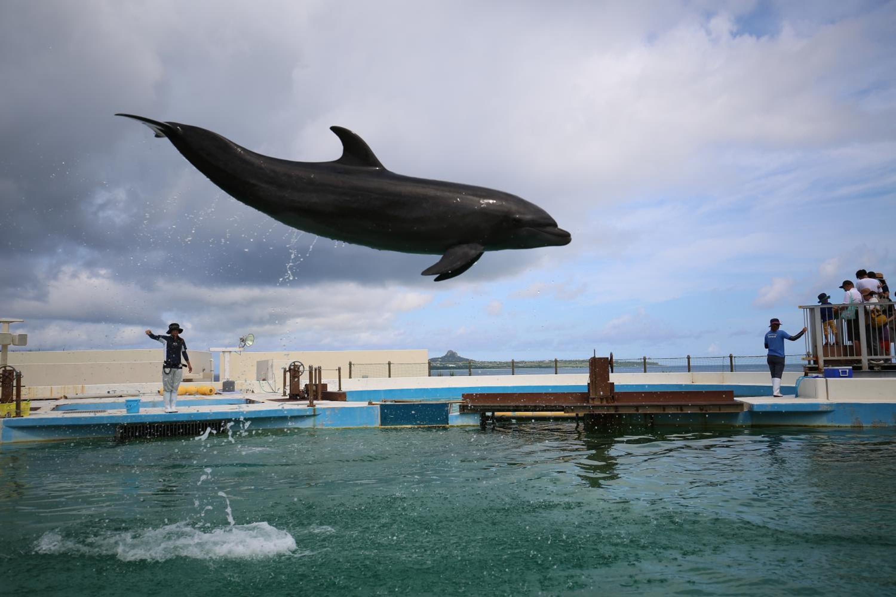 Фото Kariyushi Condominium Resort Onna Maeda Base