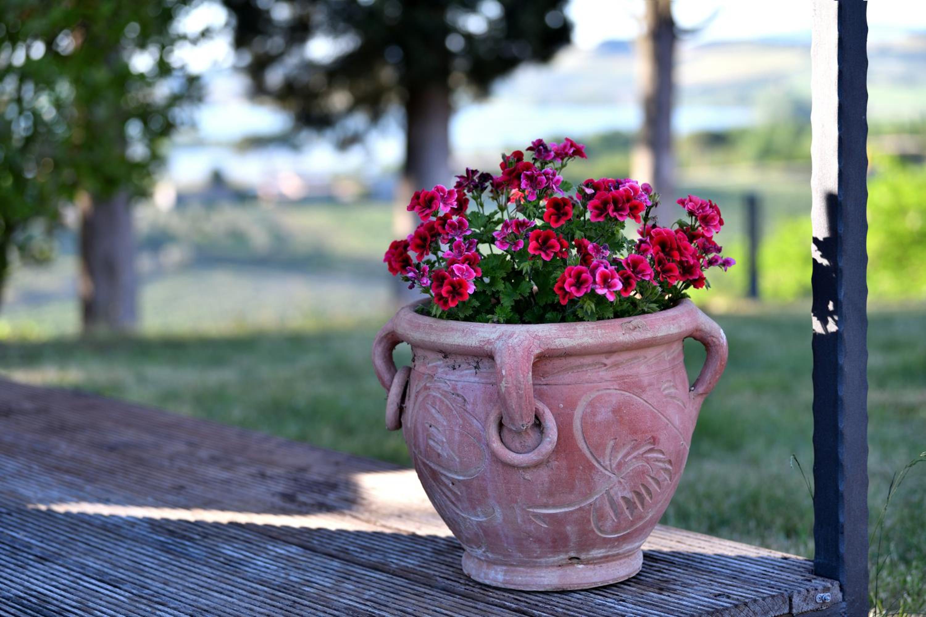 Фото Porsenna Resort