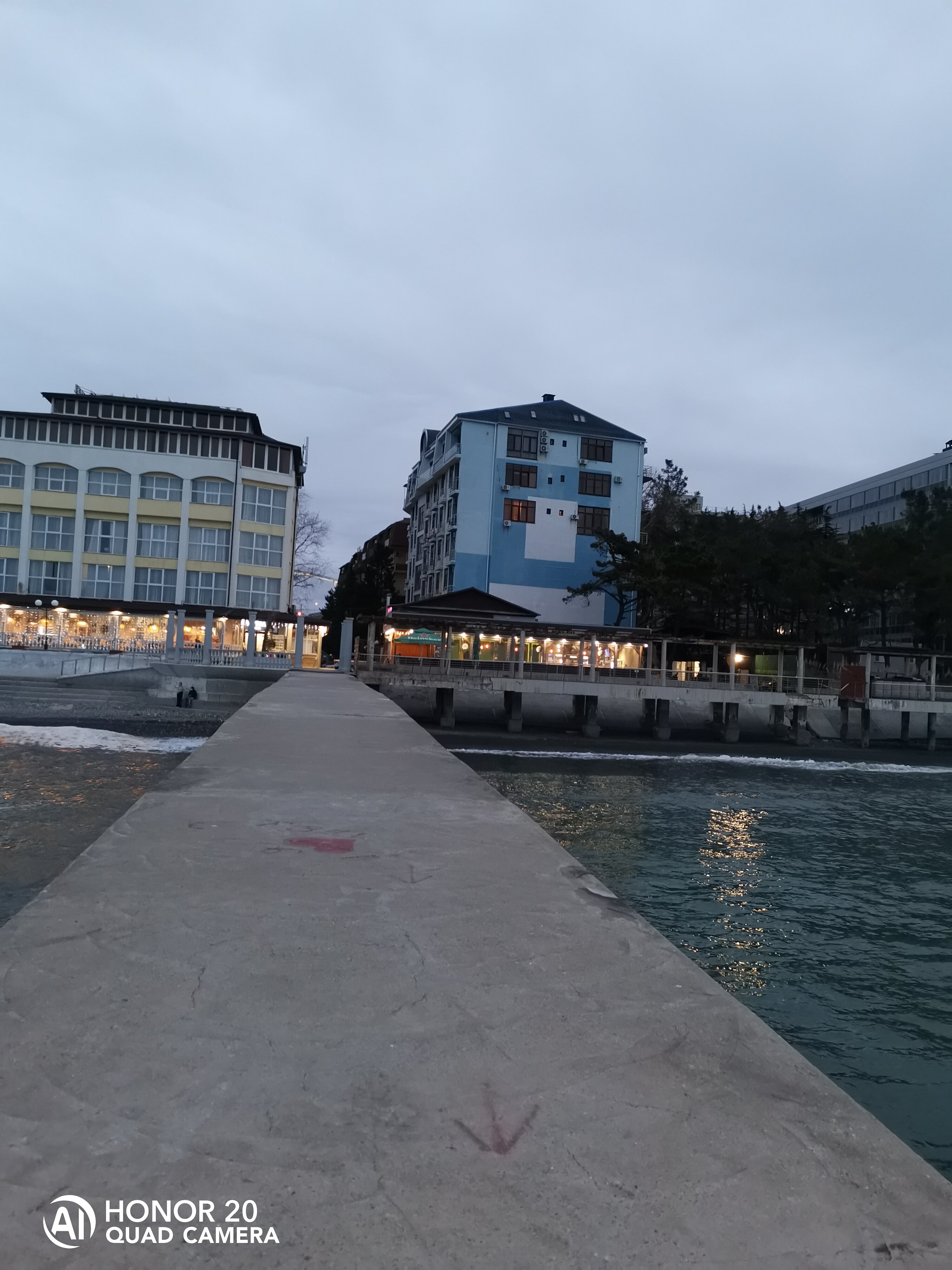 Фото Дельфин