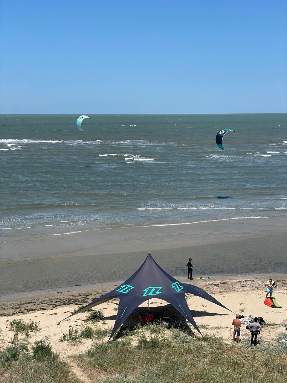 Фото Белый кролик