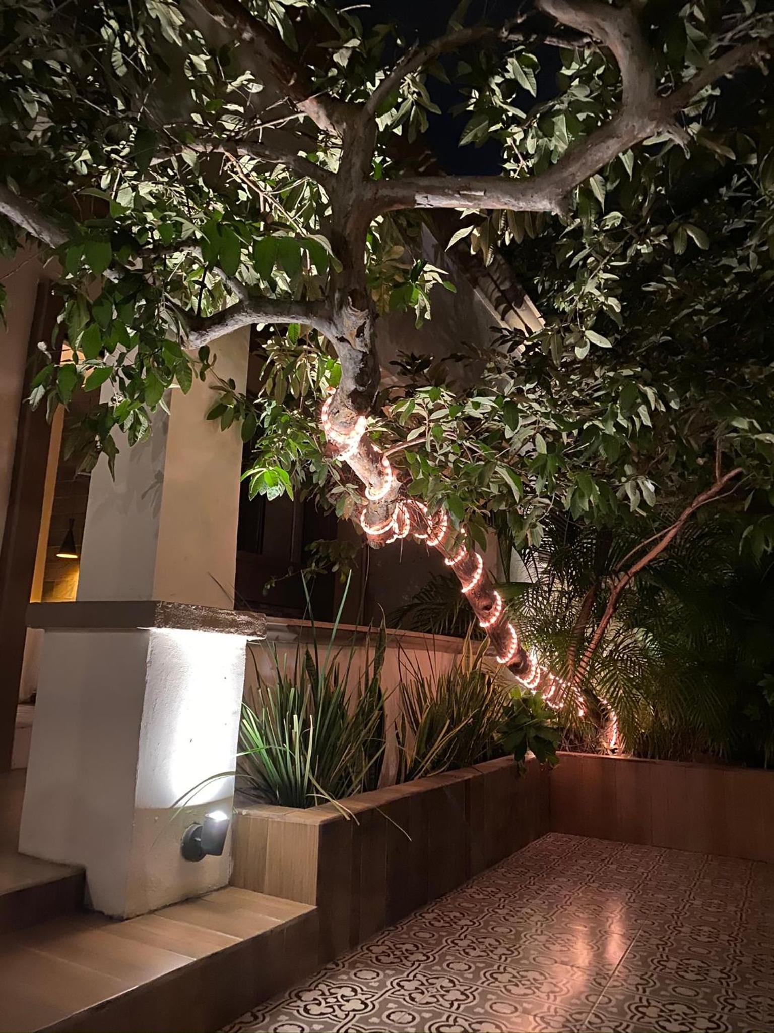 Фото Hotel Casa 511