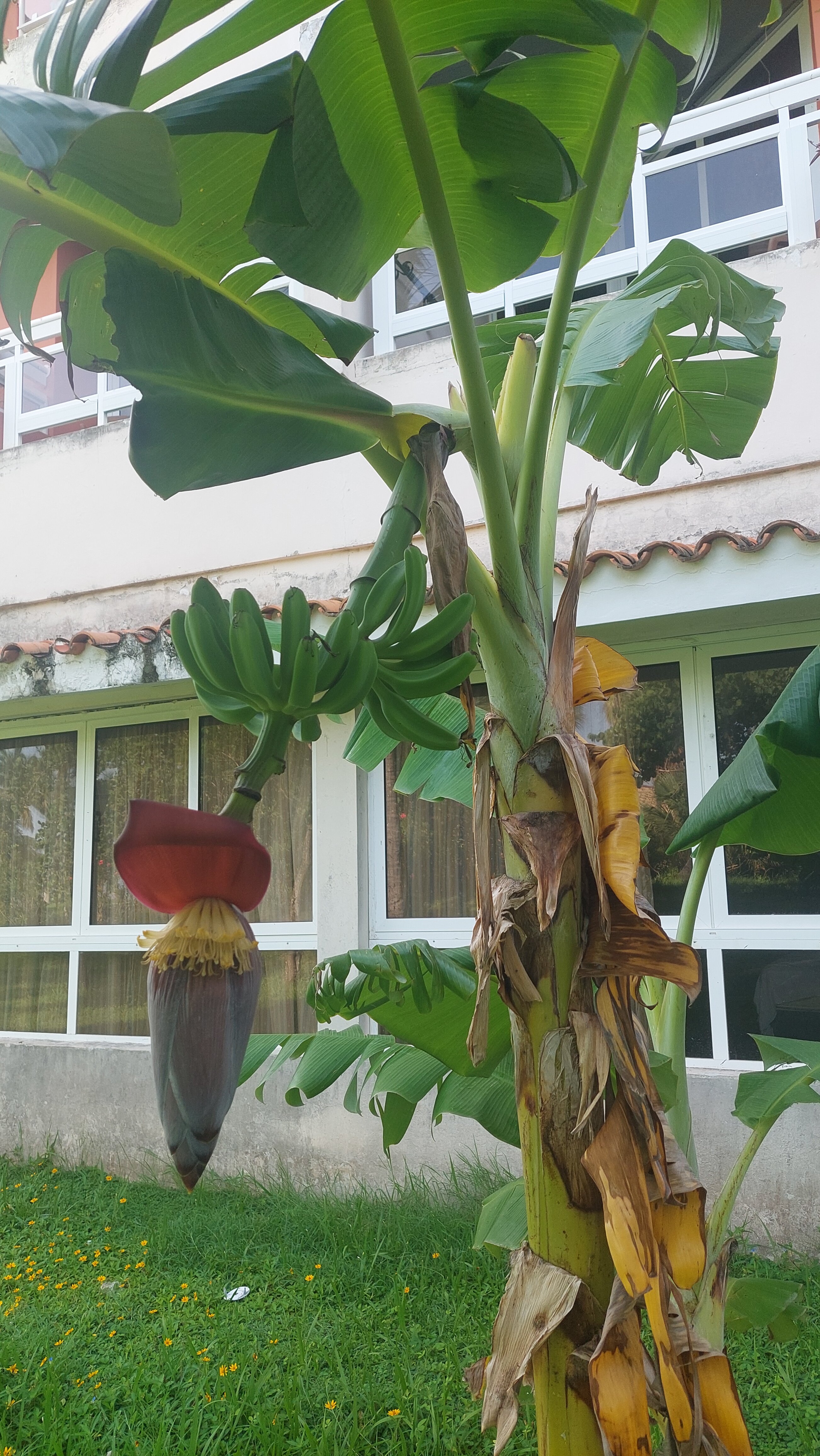 Фото Occidental Arenas Blancas by Barcelo