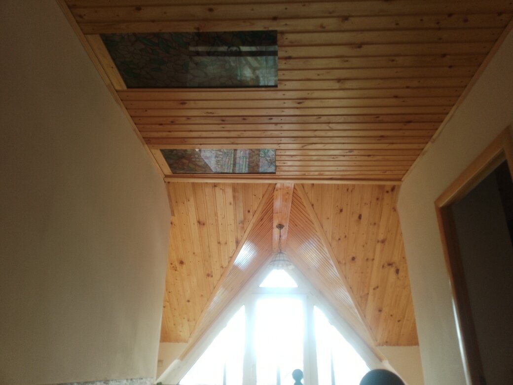 Фото Сакура