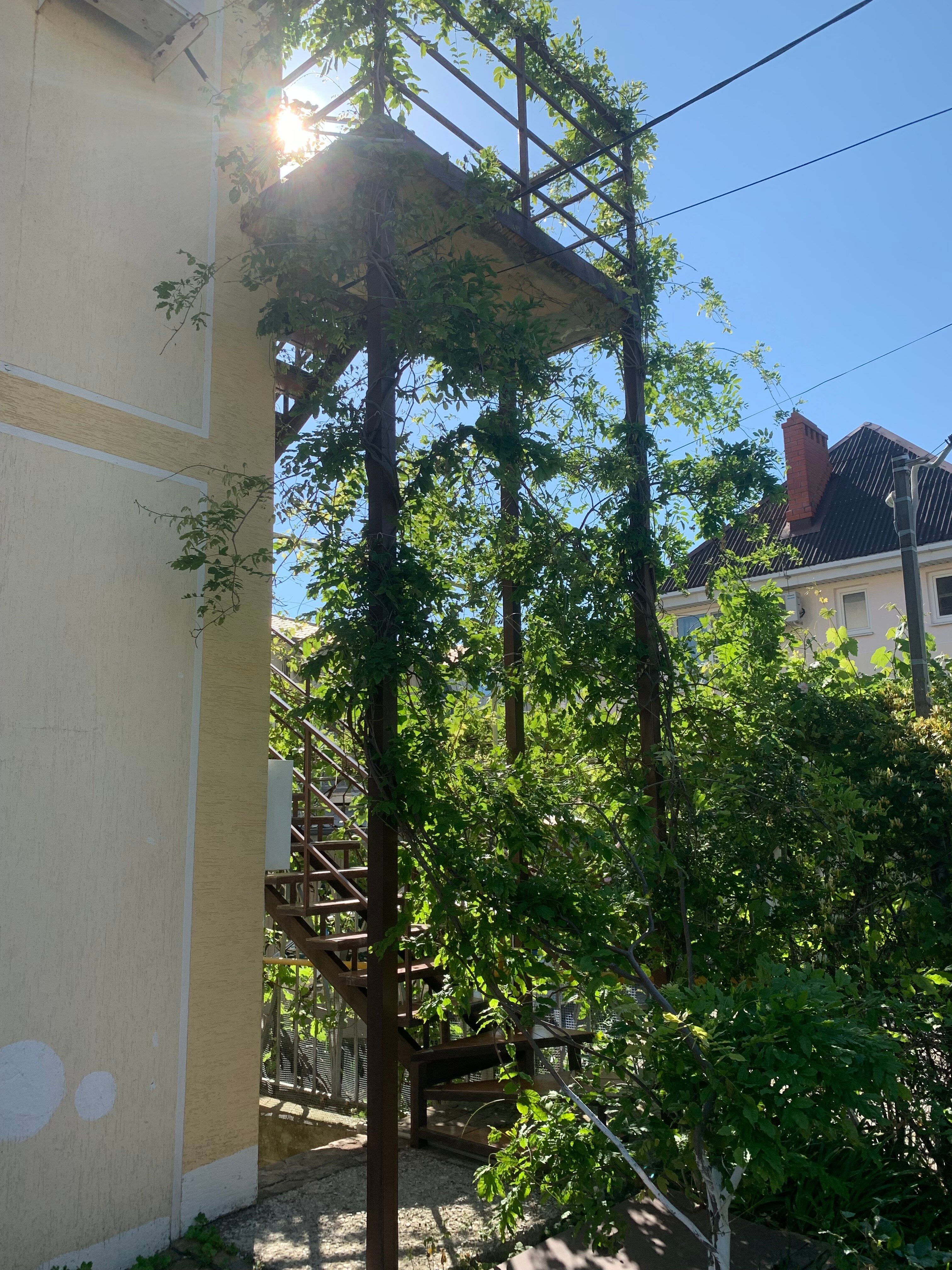 Фото Ракета