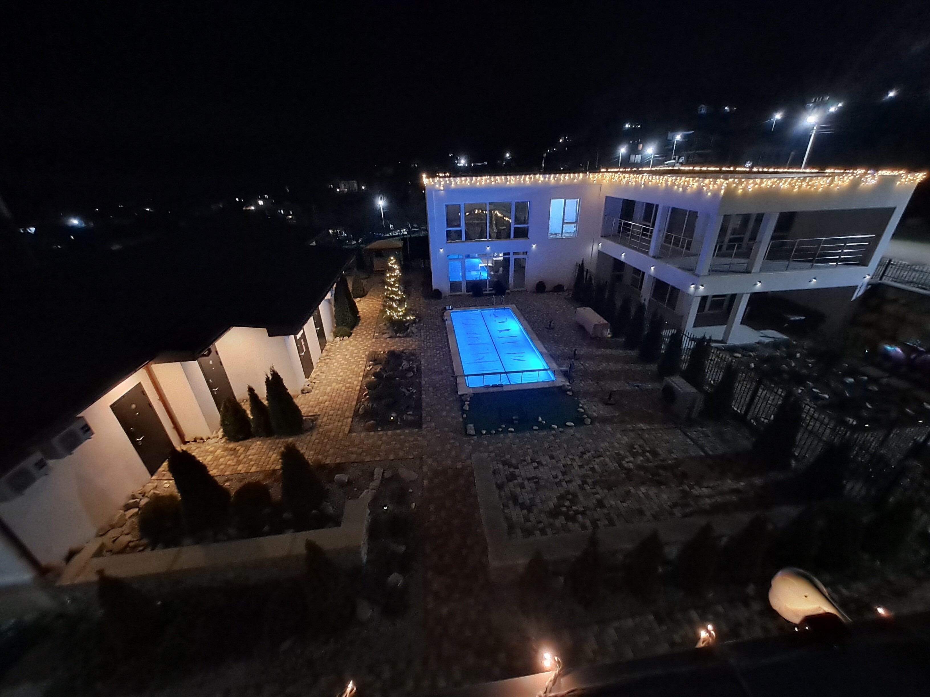 Фото Горная лаванда