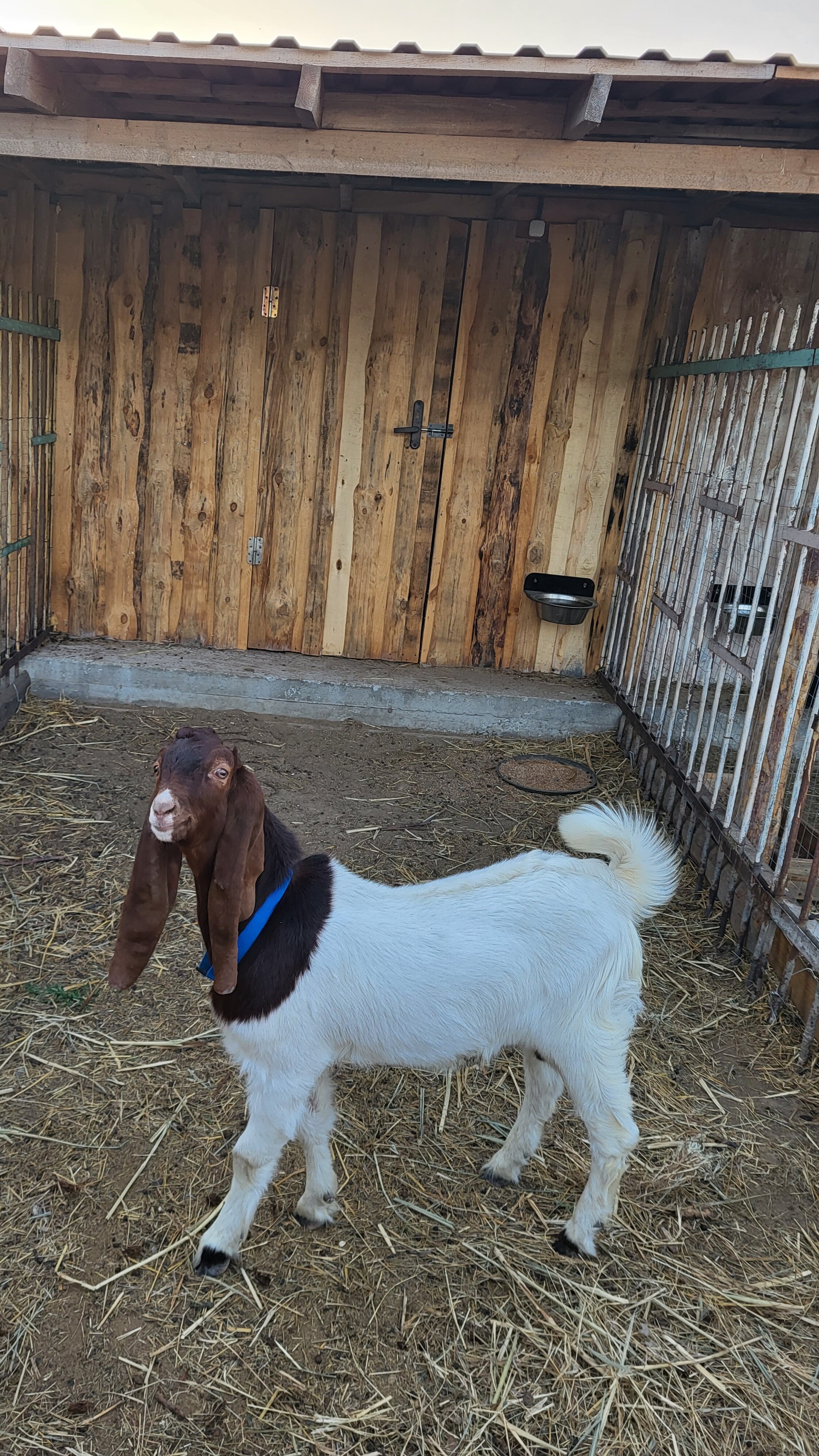 Фото Семейная Усадьба