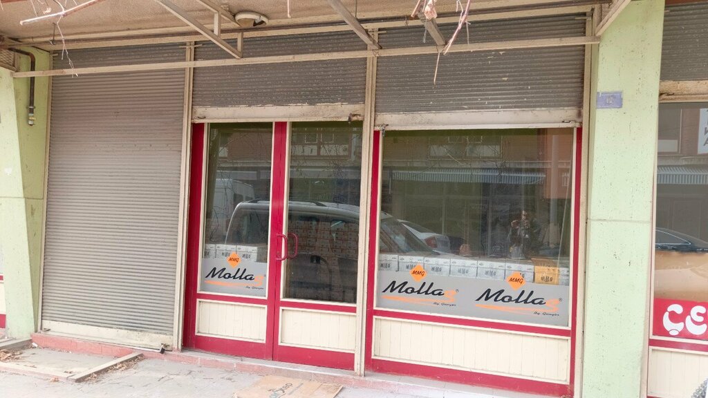 Shoe company Mmg Mollas Shoes, Konya, photo