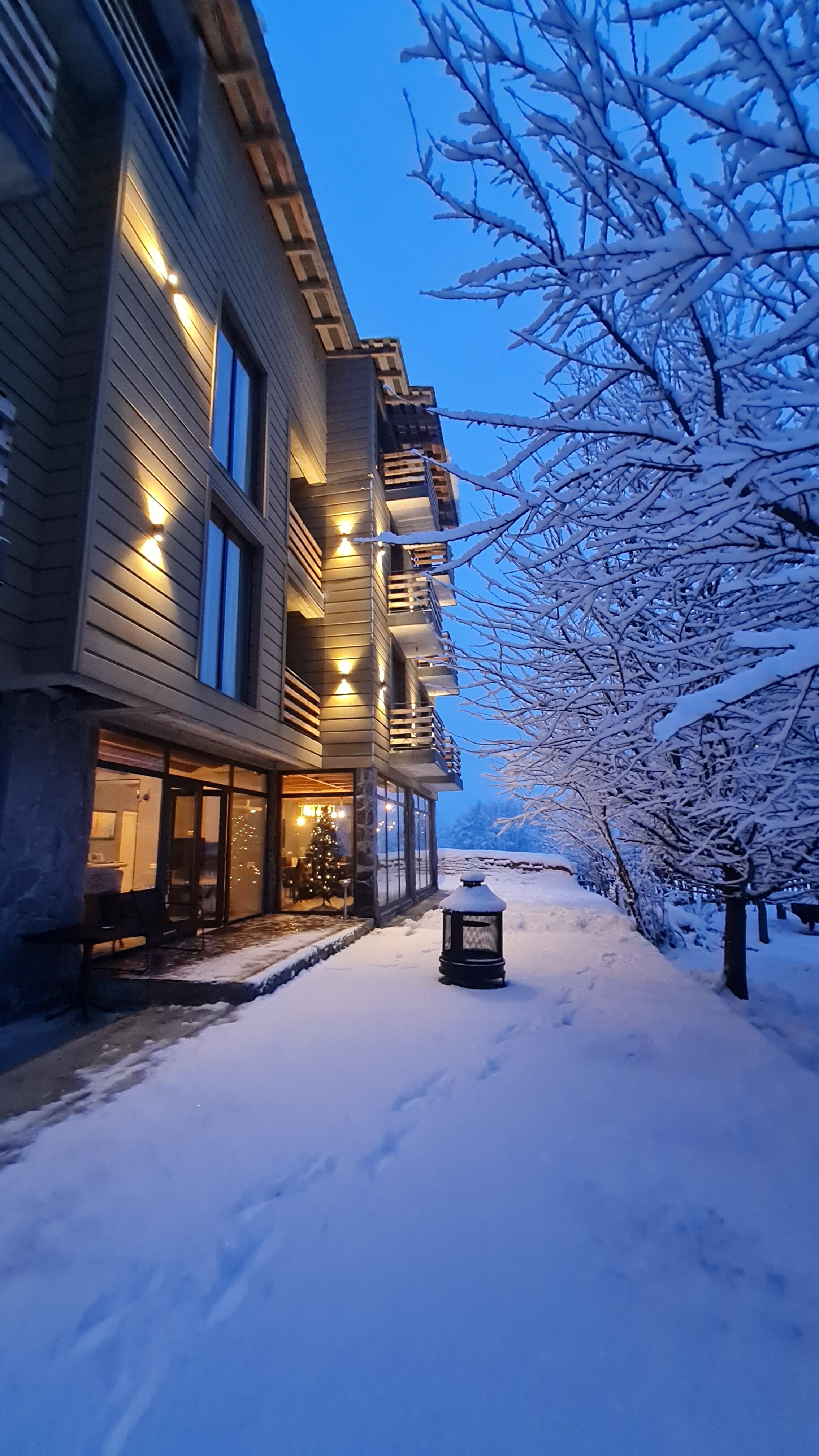 Фото Mestia Roots