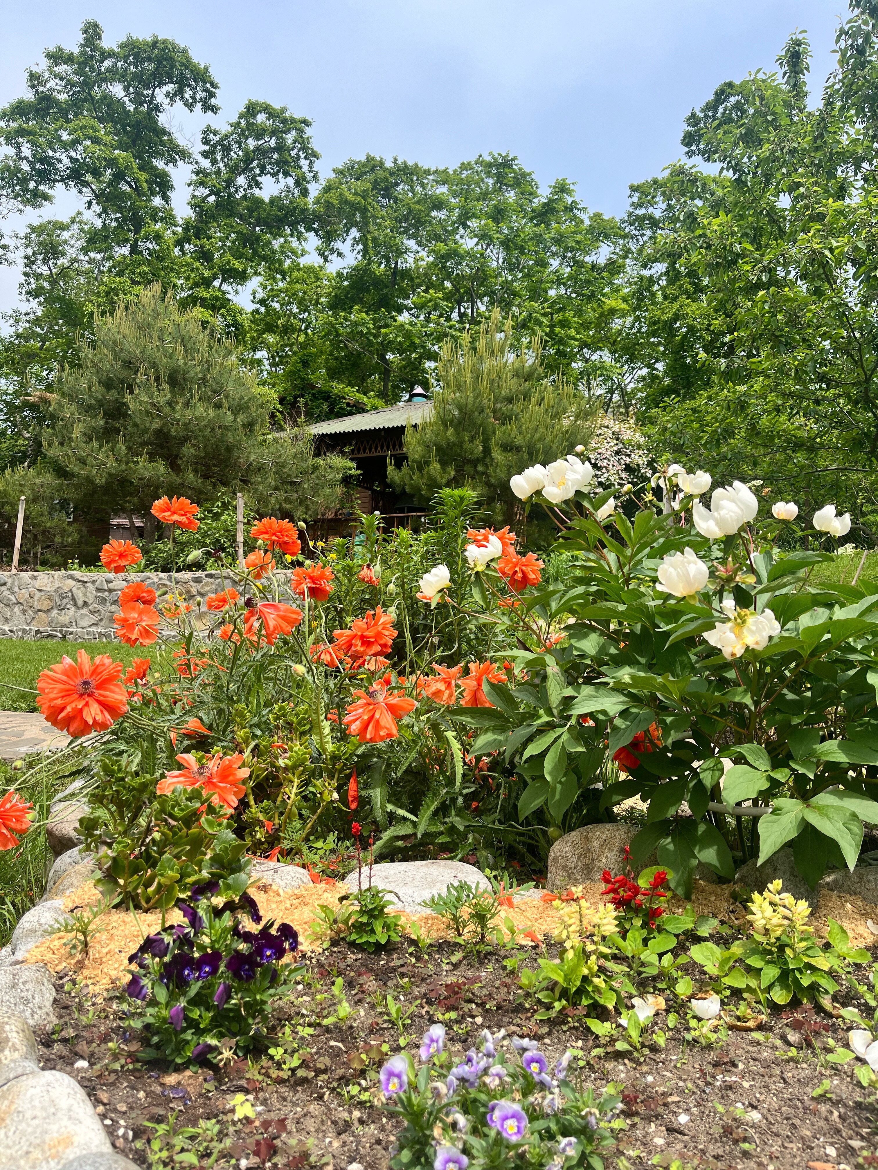 Фото Ольховая