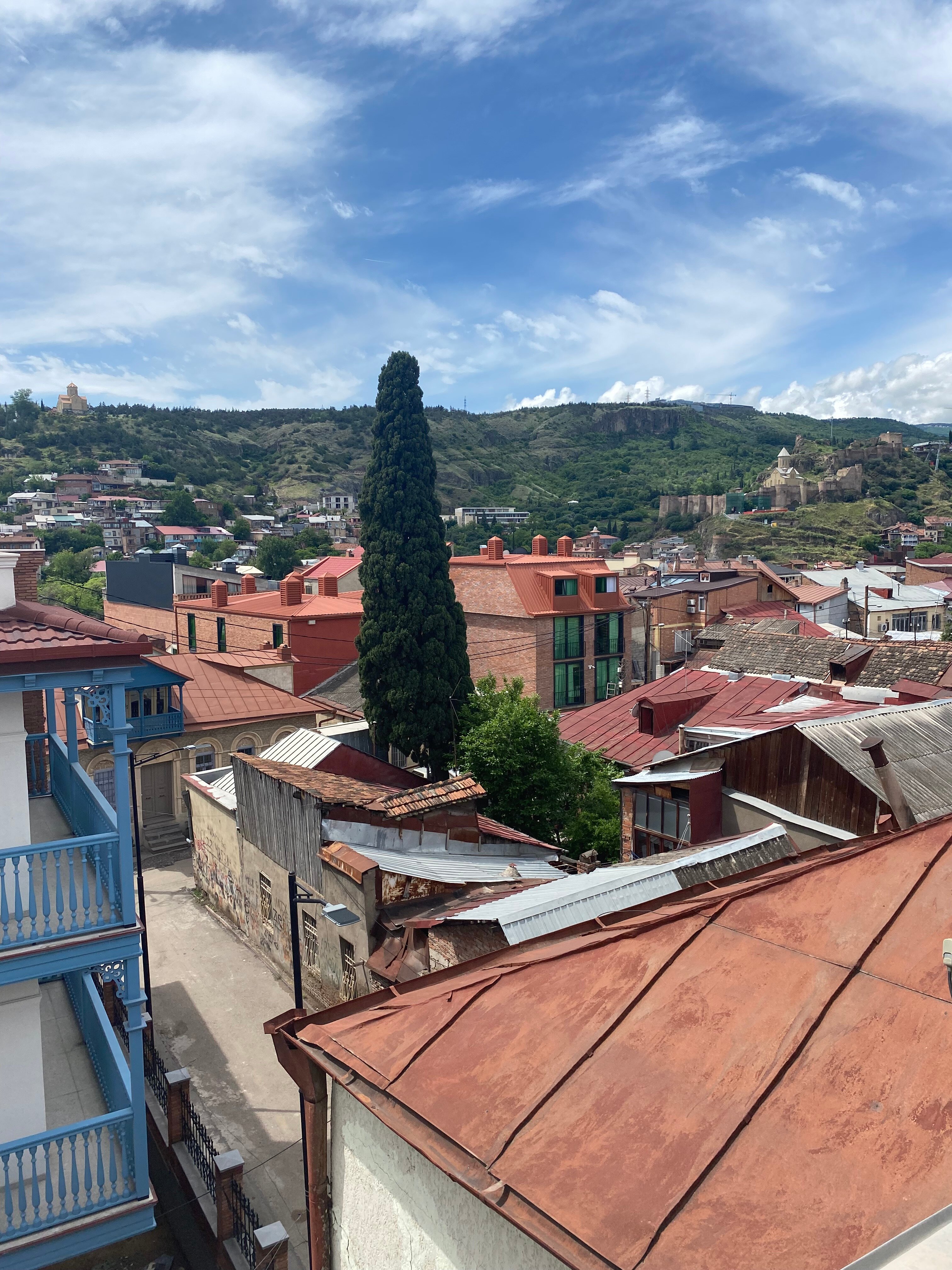 Фото Фламинго