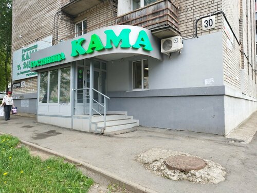 Гостиница Кама в Завьяловском районе