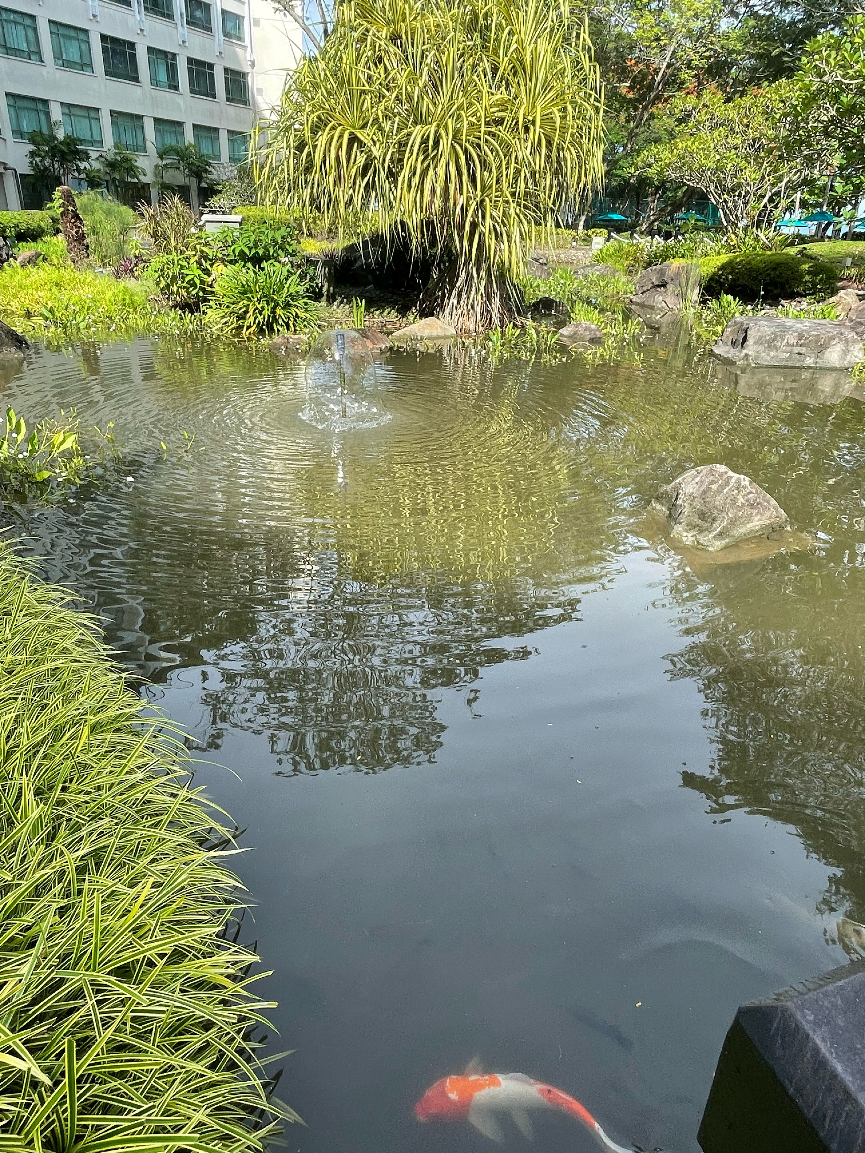 Фото The Pacific Sutera Hotel