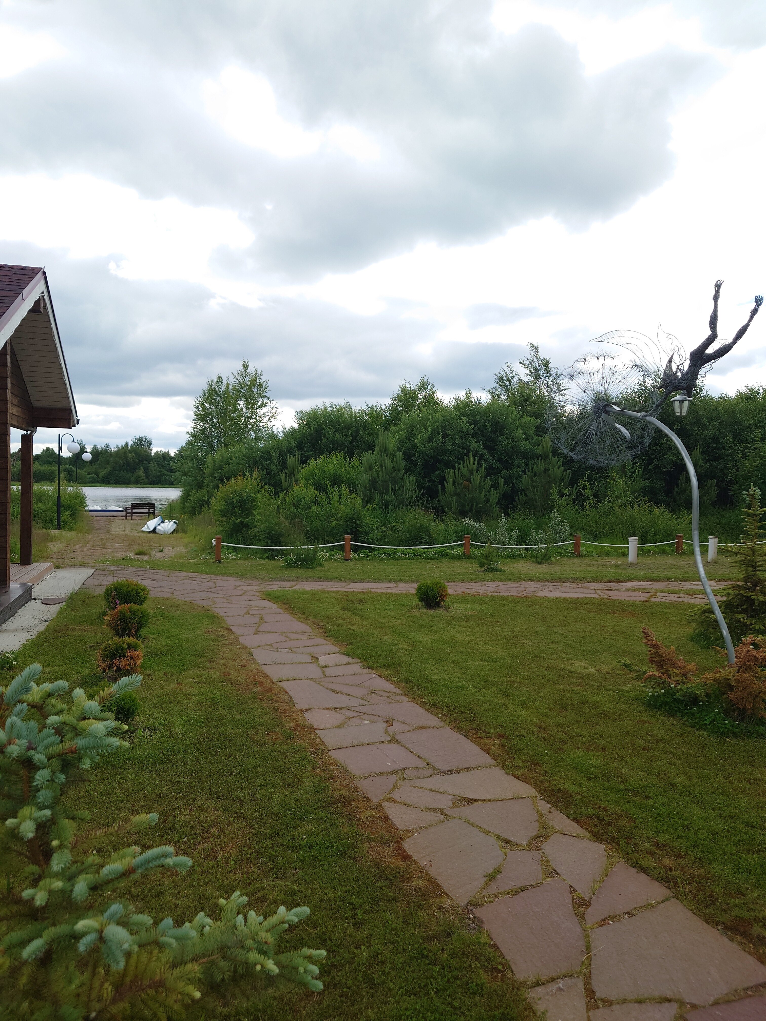 Фото Крокус