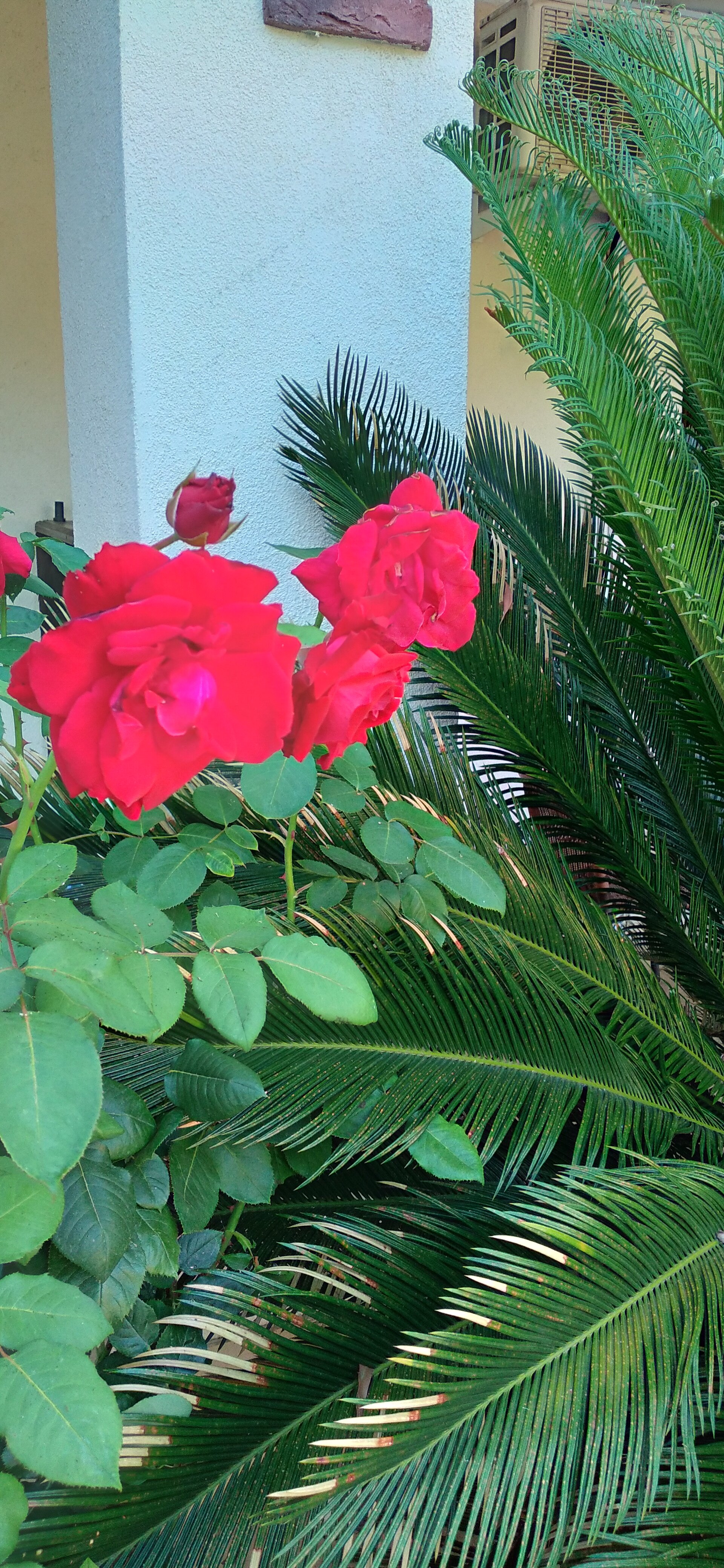 Фото Сказка