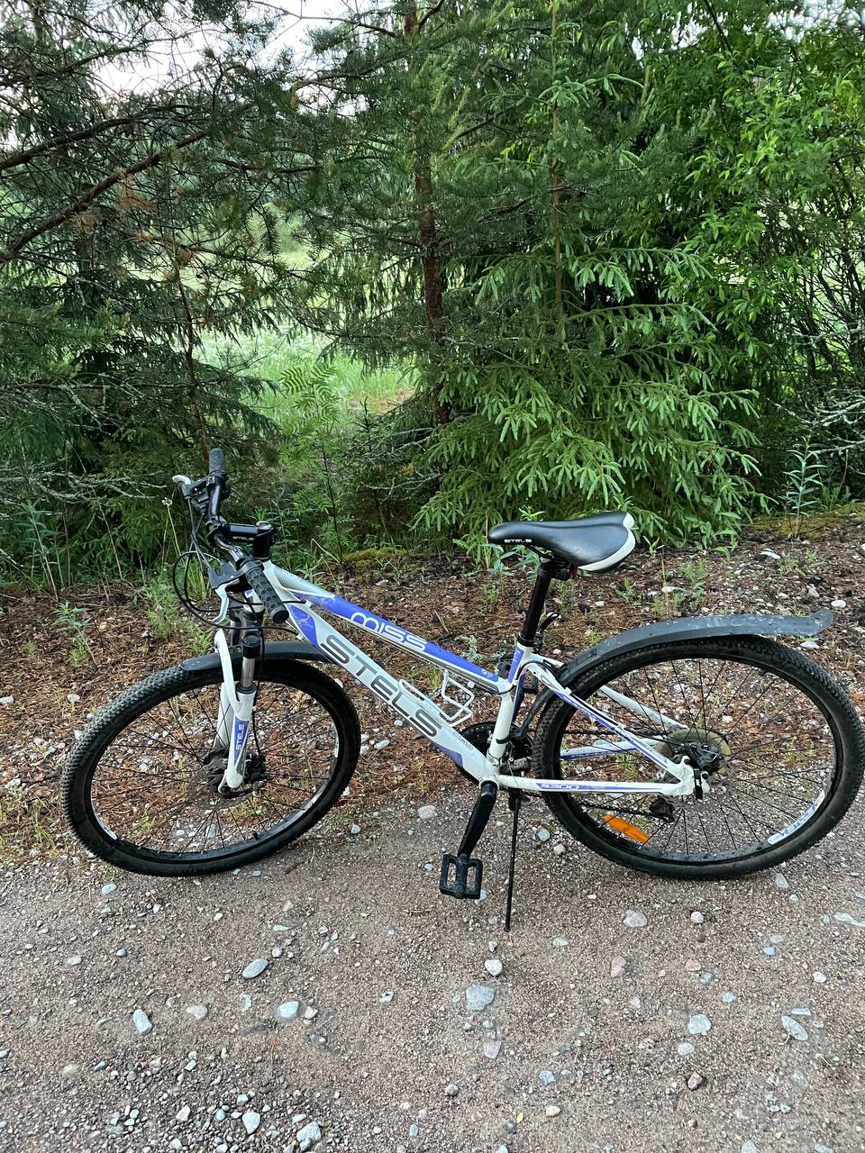 Фото Ракита